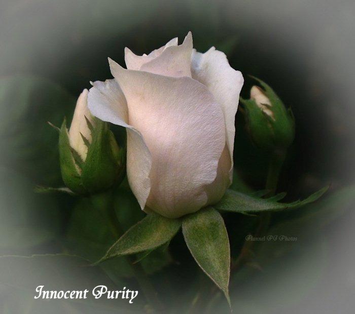 [display_1698727-791489.jpg]