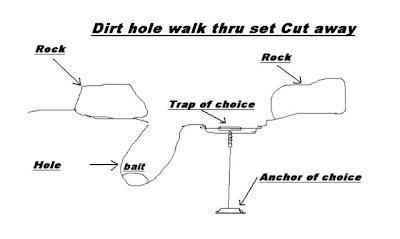Trapping Supplies Review: Illustrations of Basic Trap Sets