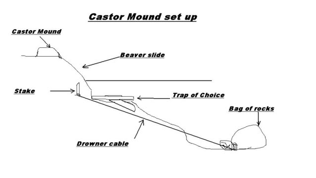 Trapping Supplies Review: Illustrations of Basic Trap Sets