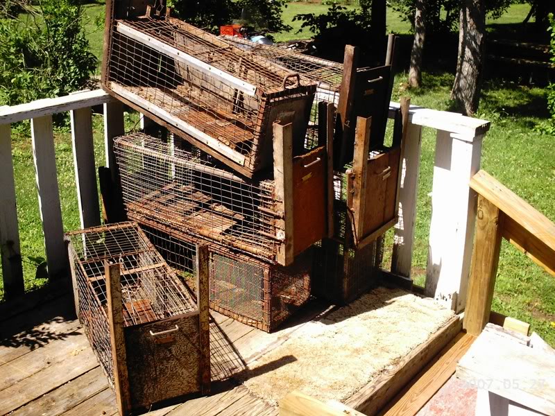 Trapping Supplies Review Using Cage Traps