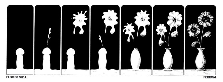 [Ferron-floresdevidafabulosa.jpg]