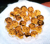 [celestes+de+Stº+Clara.png]