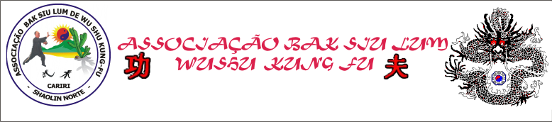 Bibiano kung fu cariri