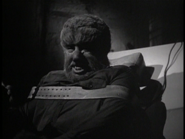 [vlcsnap-4835291.png]