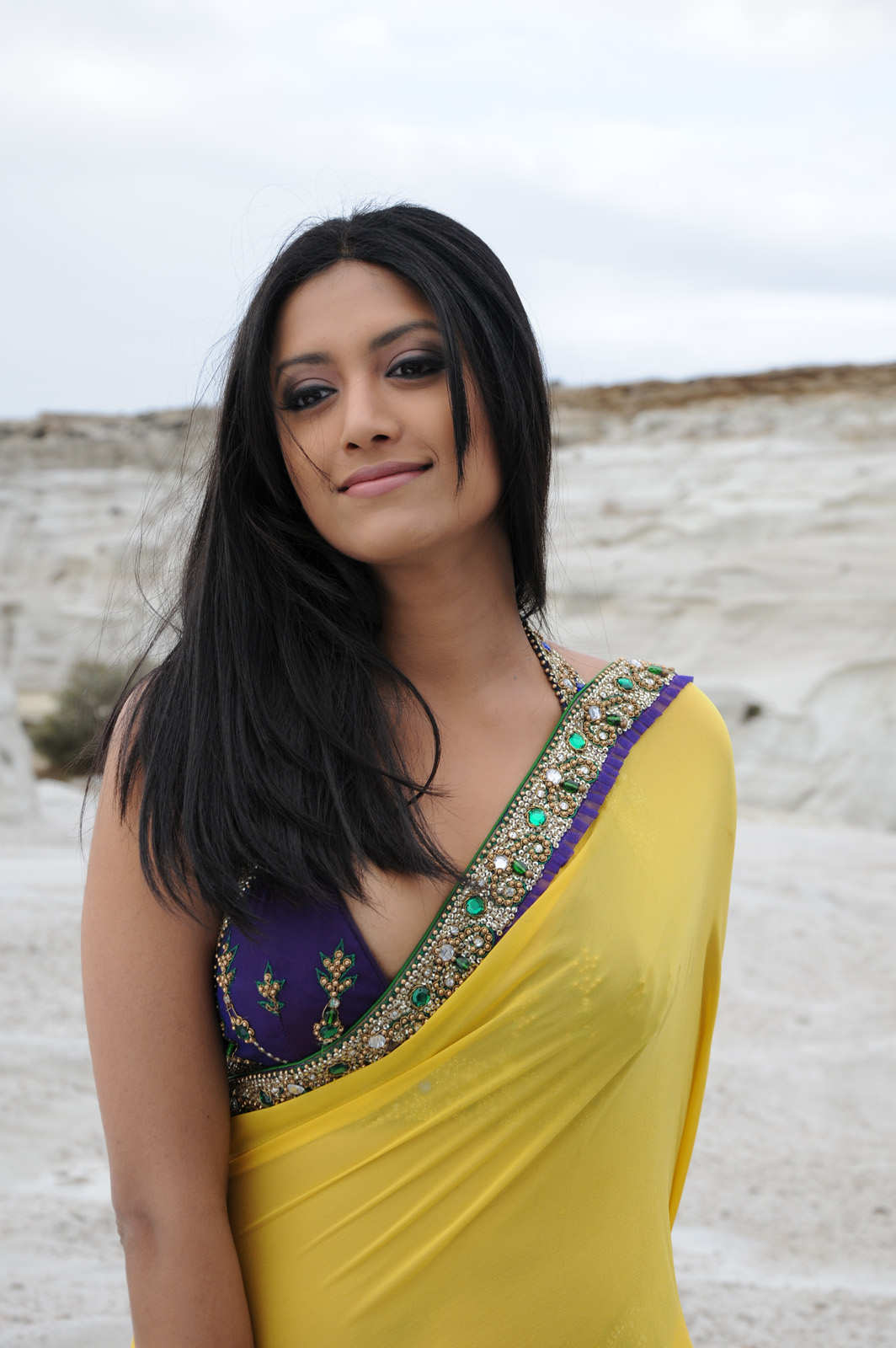 Hot Mamta Mohandas Sexy Saree Stills 2011 Hot Movie Photos