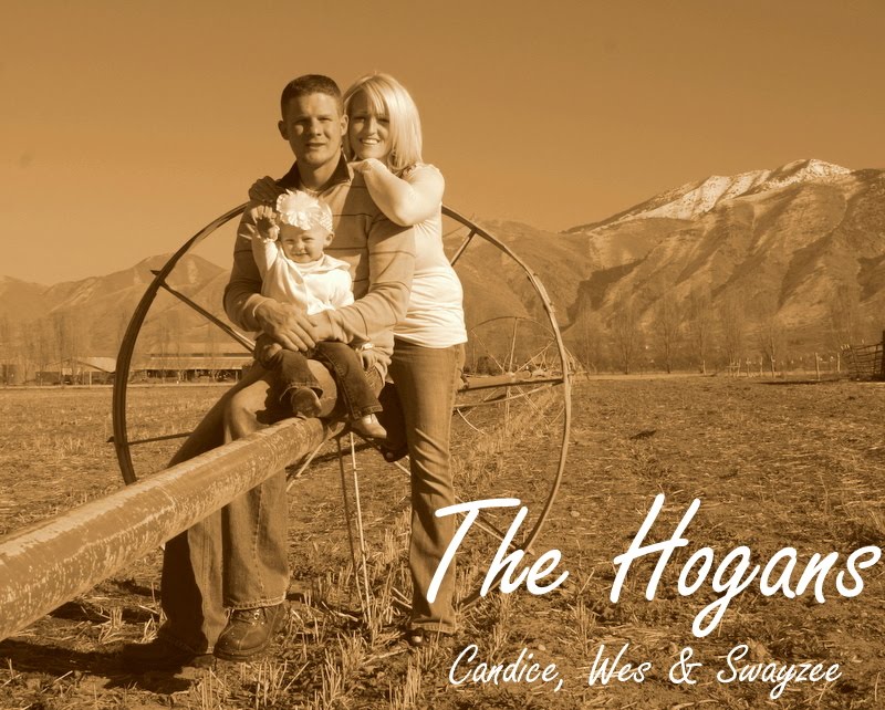 The Hogans
