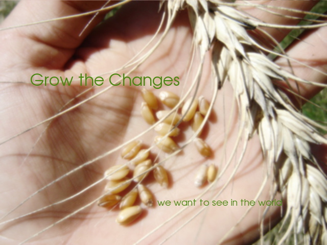 Grow the Change