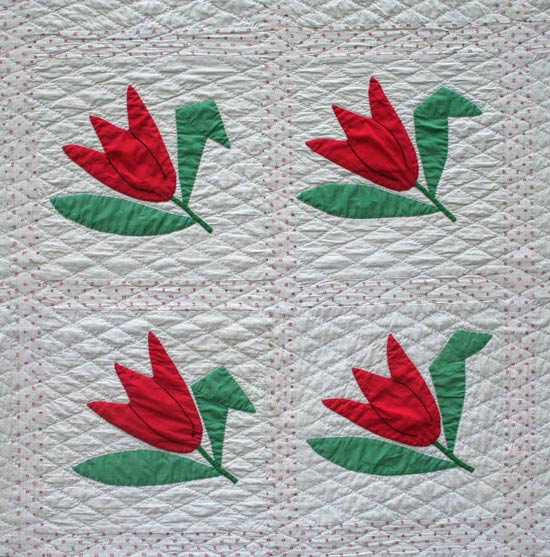 [redtulipdet.jpg]