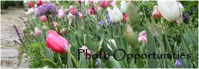 Photo Opportunities