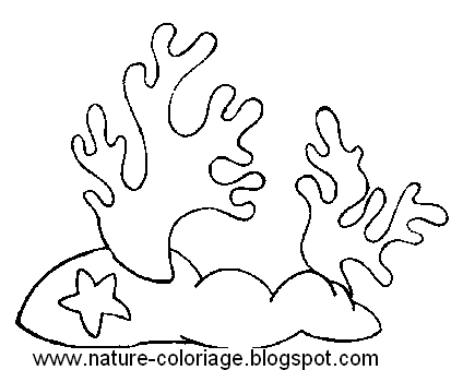 Coloriage De La Nature Impimer Colorier Le Dessin Algues coloriage-de-la-nature-impimer-colorier-le-dessin-algues