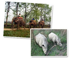 Chitwan Safari Pacakge