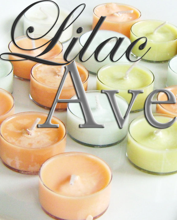 The I Am Chronicles: One Year Blogiversary Giveaway