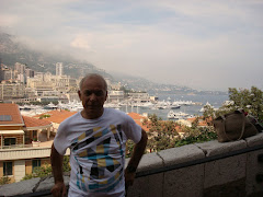 Vista Parcial do Mónaco