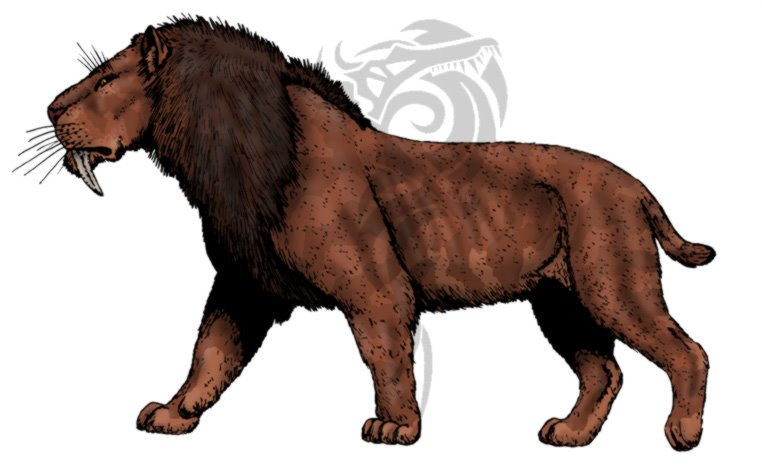 [smilodon+4.jpg]