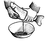 Kulinarische Welten zu Fisch- und Meeresfrucht: Was ist eigentlich