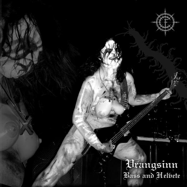 [carpathian_forest_tits.jpg]