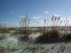 Plan ahead to attend the Congregational Retreat on Sapelo Island in the Spring 2011