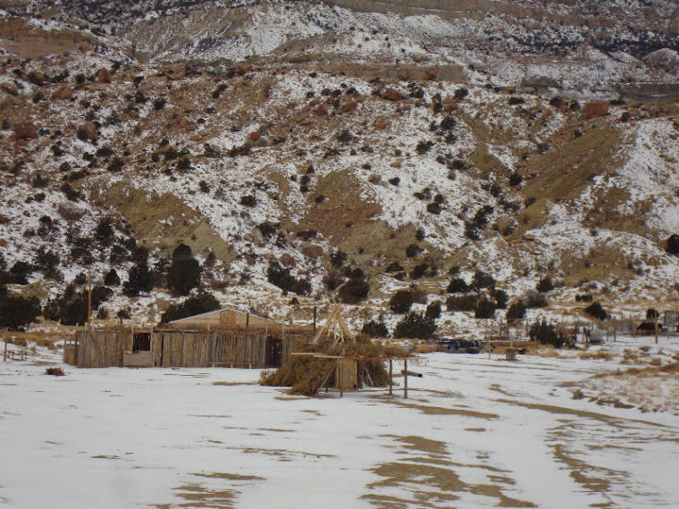 Around the Rez Diné (Navajo) Artist Profile Azalia Begay