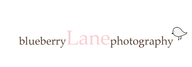 Blueberry Lane Photography ~ The Blog