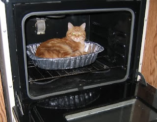 Cat-pie.jpg