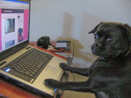 CoCo the Blogging Puggle