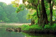 The Beautiful Coosa River