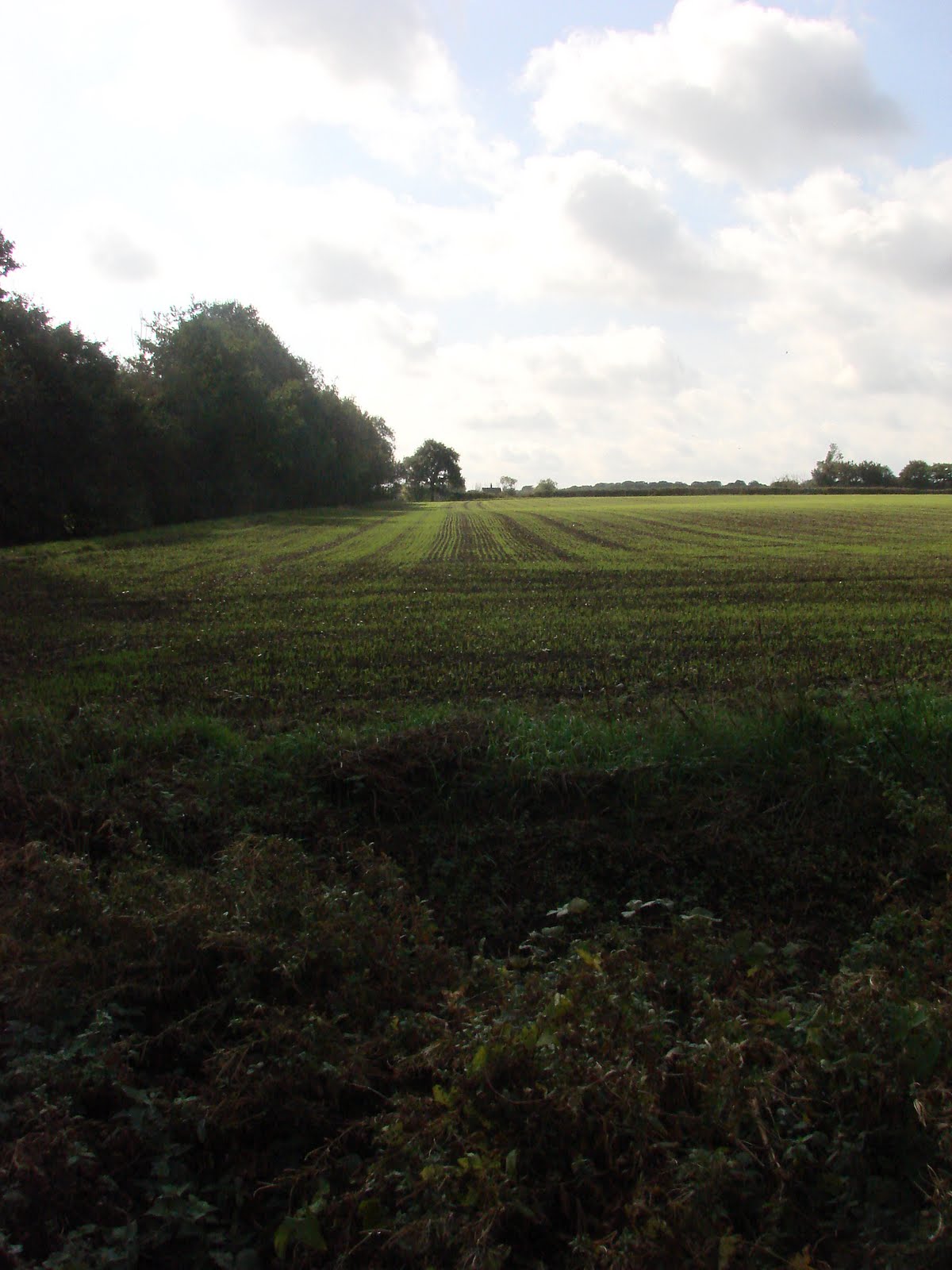 [writtle+015.JPG]