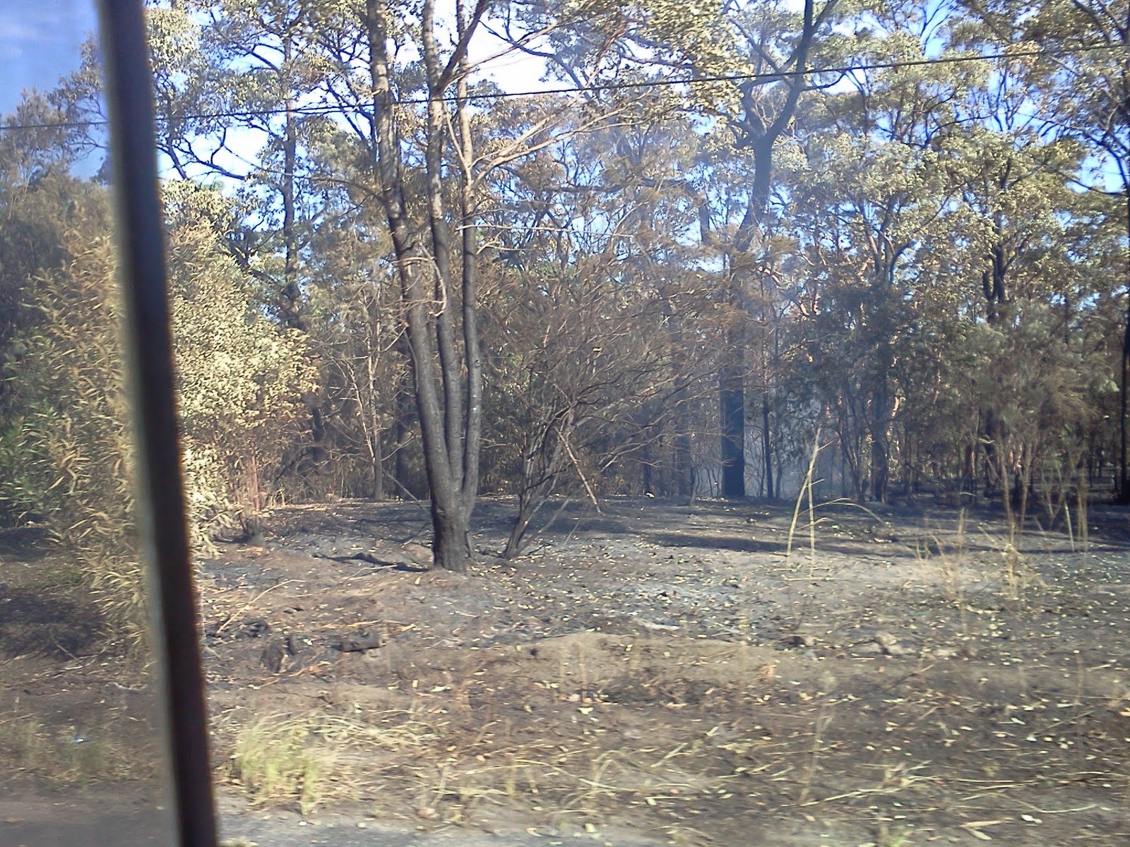 AIQUATTROVENTI Sydney "in flames"