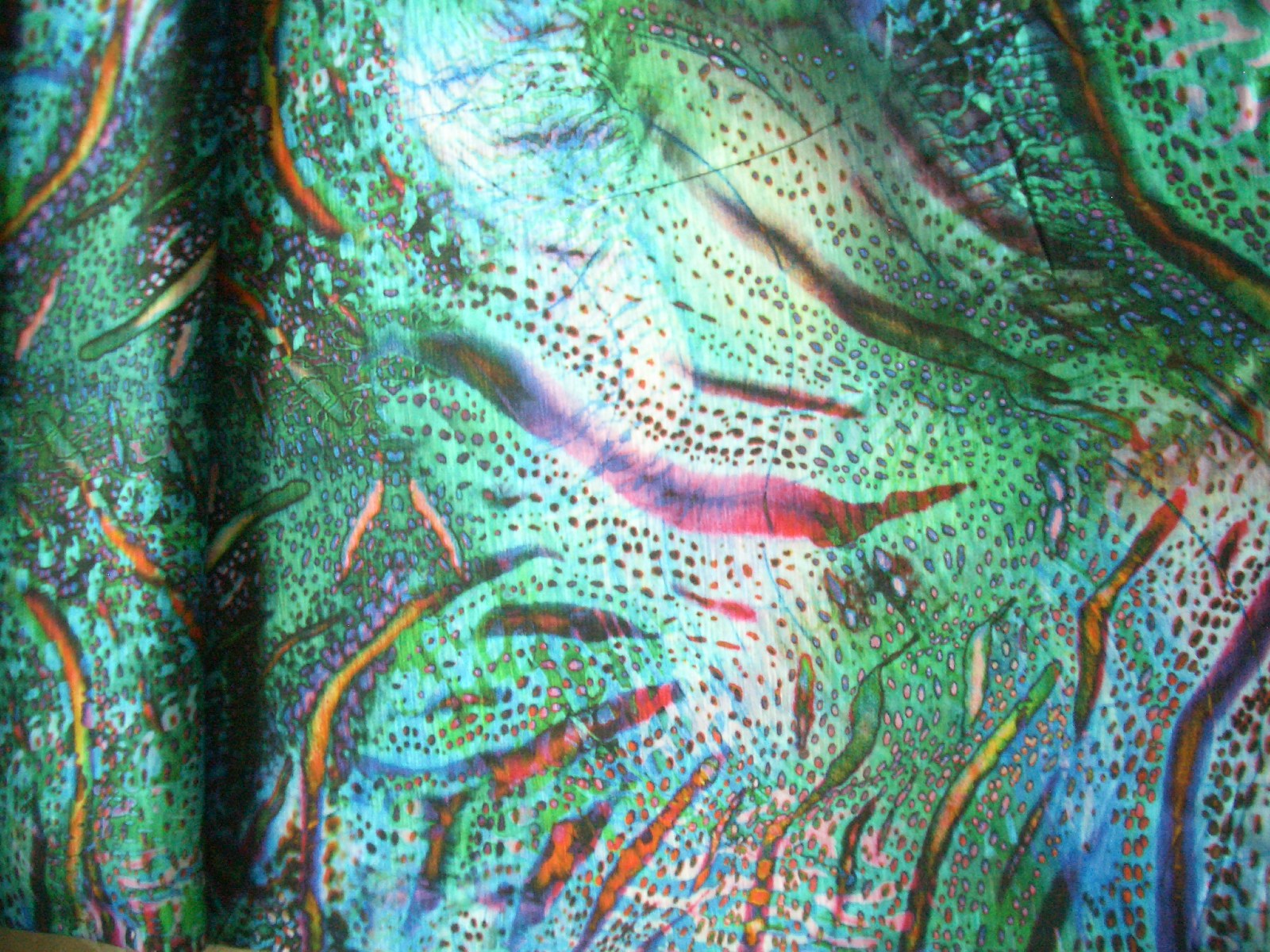 ischilly-januar-2011