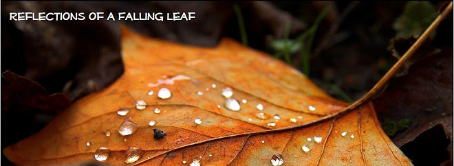 Reflections of a Falling Leaf