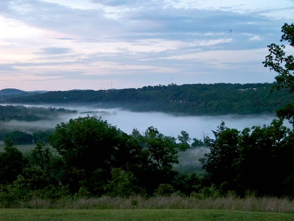 Foggy Morning in the Ozarks