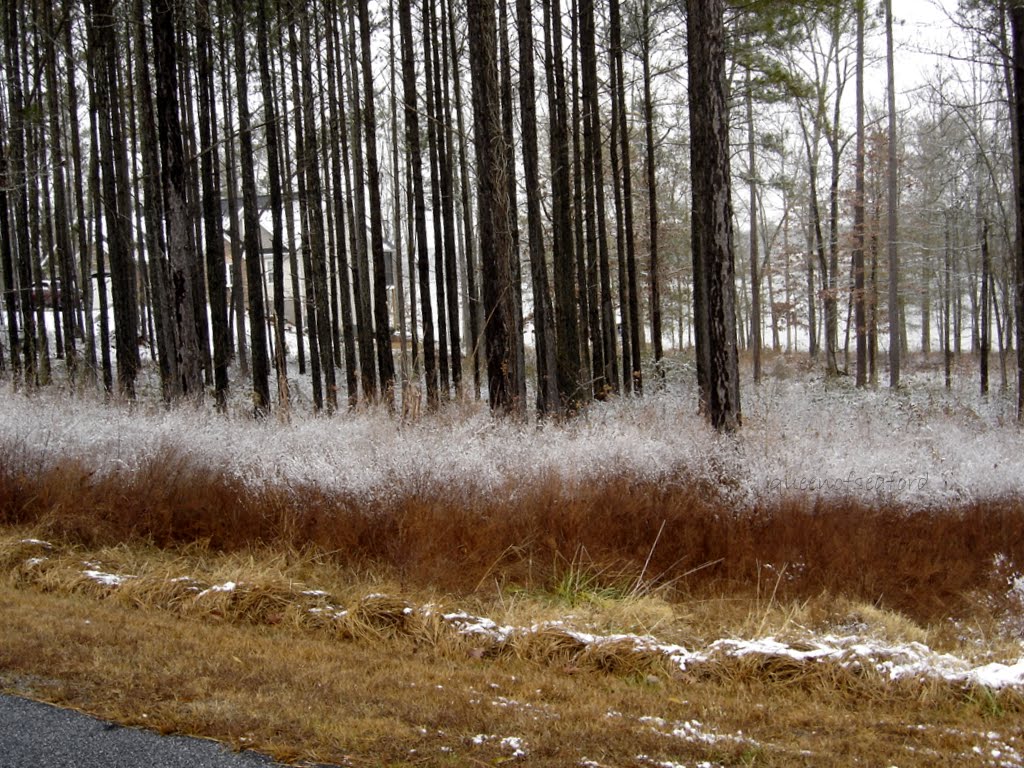 The Queen of Seaford Christmas Snow in South Carolina
