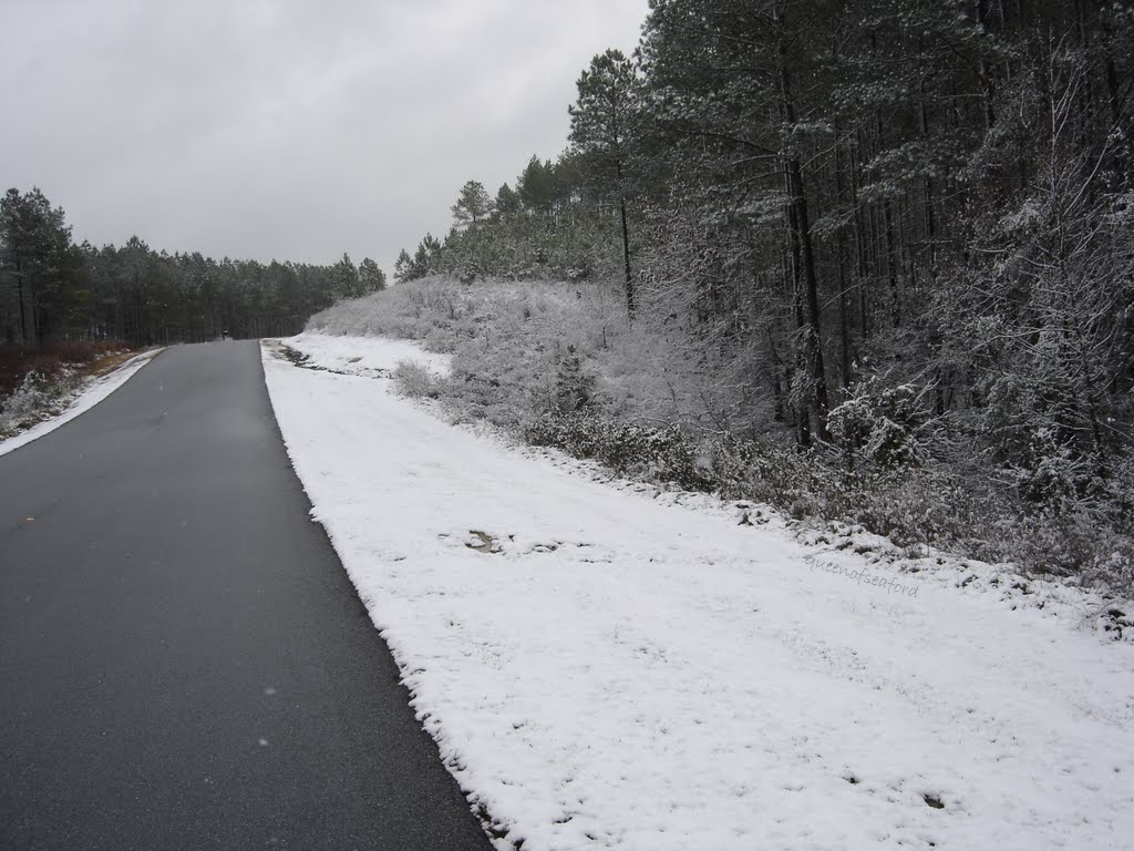 The Queen of Seaford Christmas Snow in South Carolina