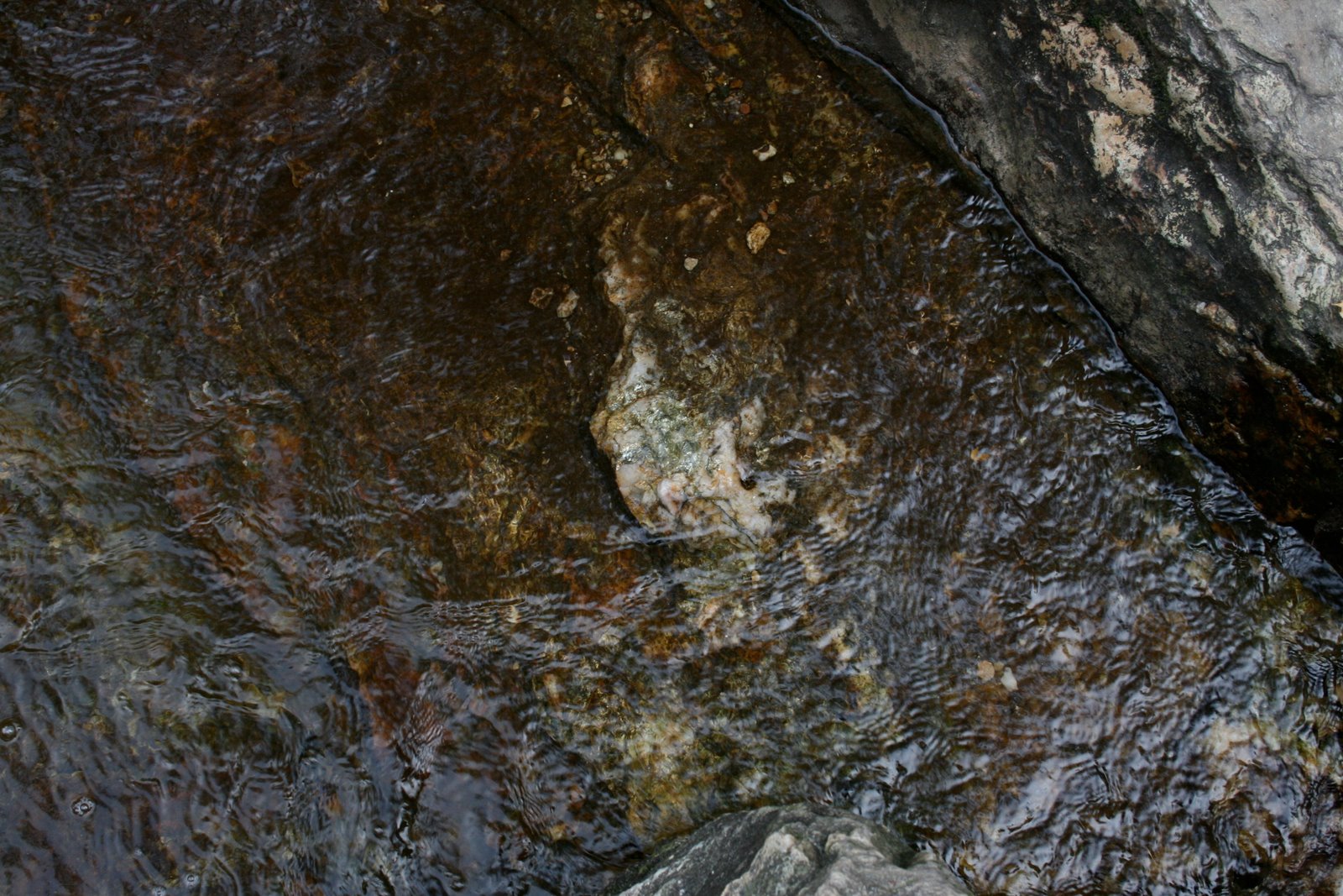 Walking Arizona Quartz veins and gold
