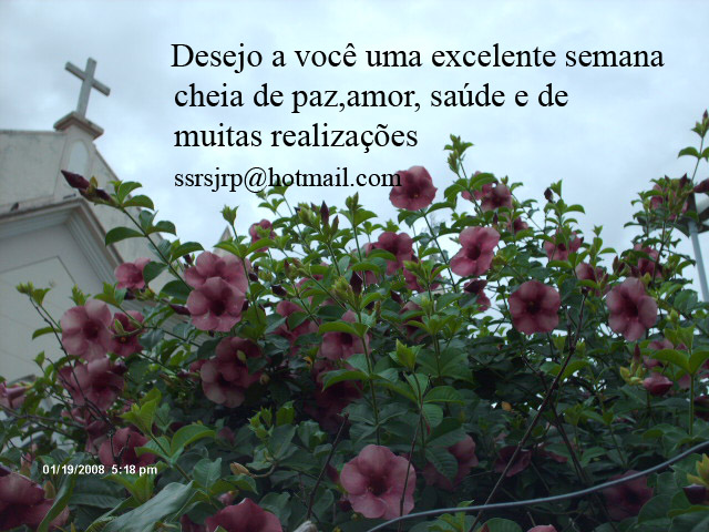 [Imagem1095.jpg]