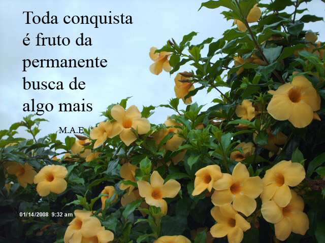 [Imagem1028.jpg]