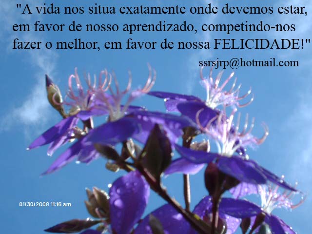 [Imagem+1358.jpg]