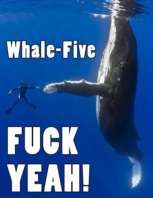 [whale+5.jpg]