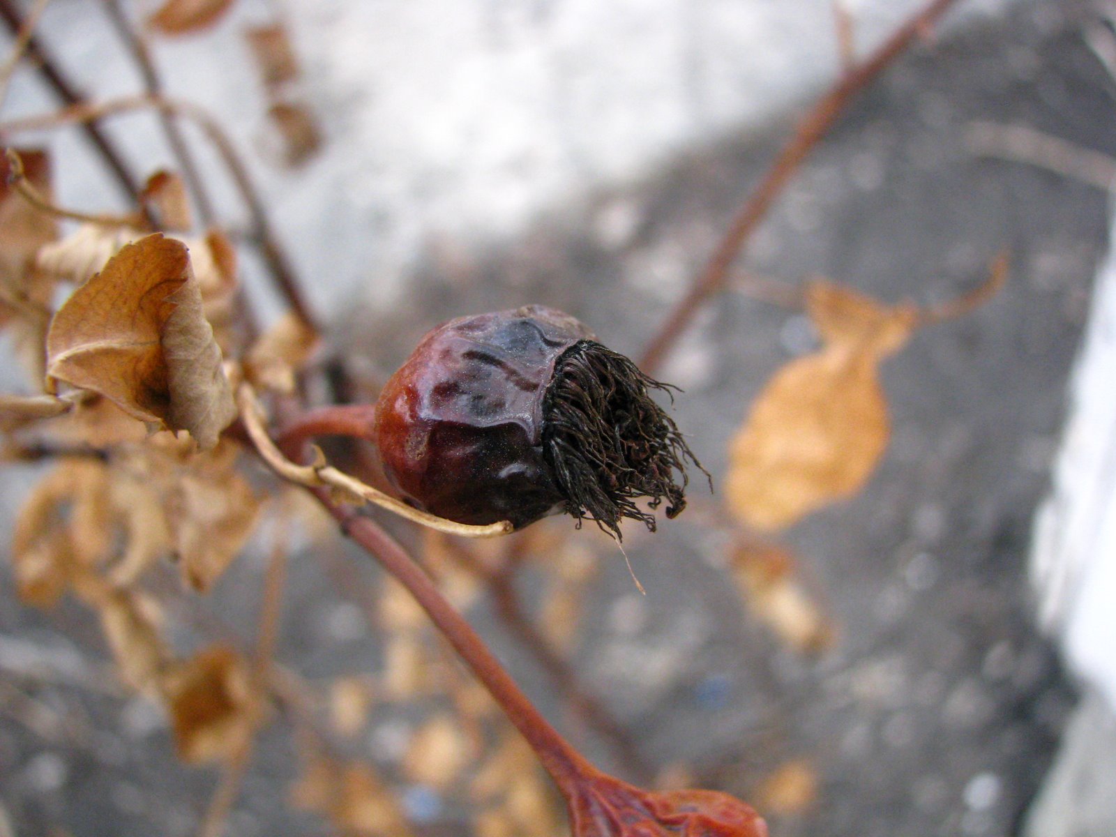 [MakeMeHappy+003.jpg]