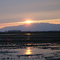 La meva foto