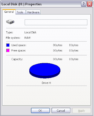 Partition%20Properties%20RAW.PNG