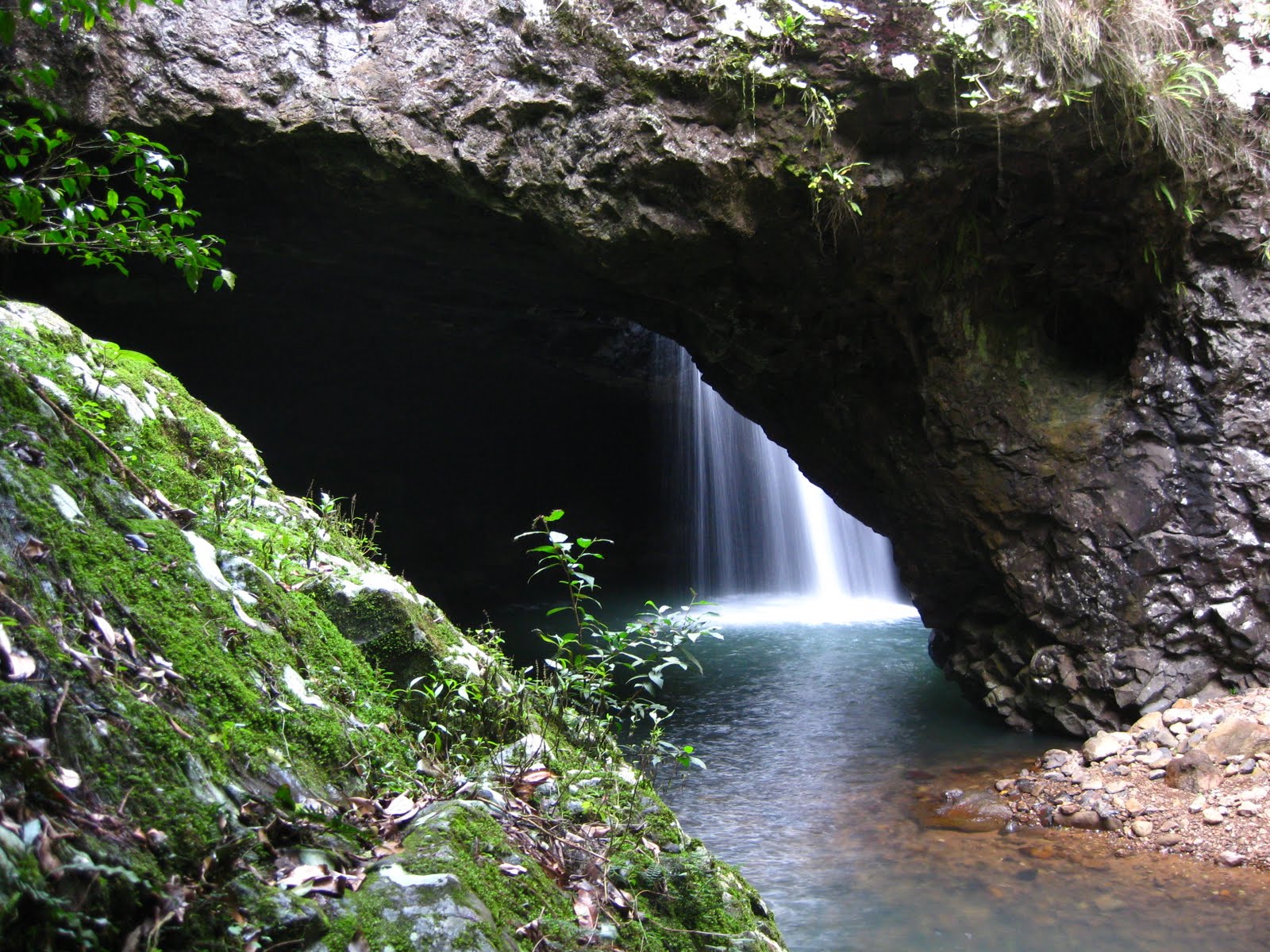nadja, brisbane, australien ) springbrook national park