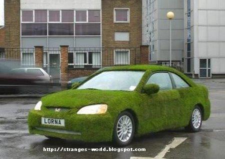 [Green-cars-002.jpg]