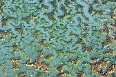 Earth's Fractal Brain From Above @ strange world