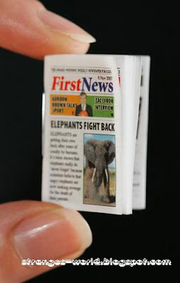 World's Smallest Newspaper @ strange pictures