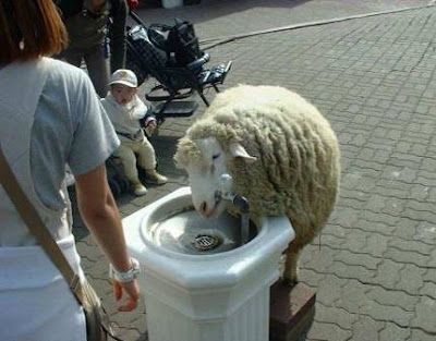 image005.jpg