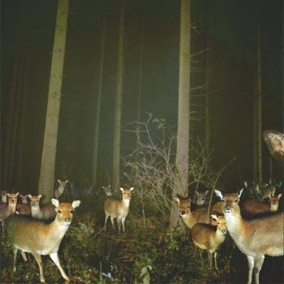 image002.jpg