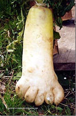 foot.jpg