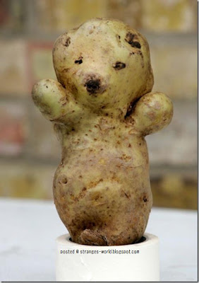 teddy-bear.jpg