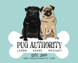 Love Pugs & Support Rescue?